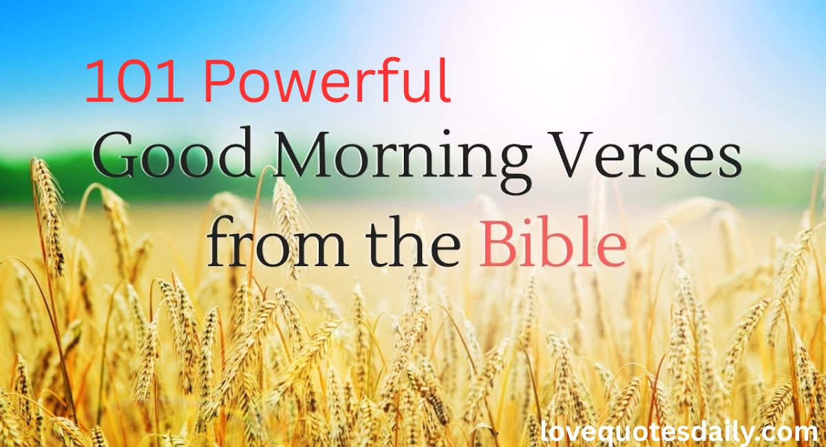 Open Bible with sunrise background featuring Bible Verse Good Morning Blessings, morning prayers, scripture quotes, faith, hope, and Christian encouragement.
